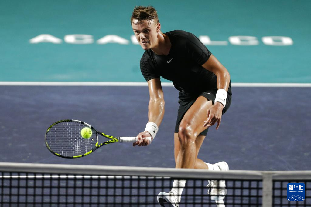 表现不俗 表现不俗